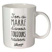 Mug "J'EN AI MARRE D'AVOIR TOUJOURS RAISON" - Visuel 0