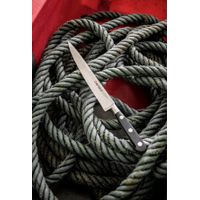Couteau filet de sole 15 cm - Visuel 5