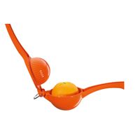 Presse orange - Visuel 1