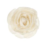 Fleur de Goatier "Rosea" - Visuel 0