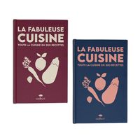 LIVRE "200 RECETTES DE LA FABULEUSE POÊLE" X2 - Visuel 0
