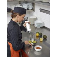 Mixeur plongeant Minipro Blanc - Visuel 1