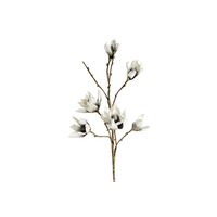 Magnolia Gris 105 cm - Visuel 0