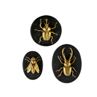 Lot de 3 decorations murales abeille scarabée lucane - Visuel 0