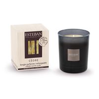 Bougie initiale parfumée & rechargeable 180g Cèdre - Visuel 0