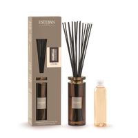 Bouquet parfumé + recharge 75 ml Cèdre - Visuel 0