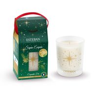 Bougie Sapin exquis - Visuel 0