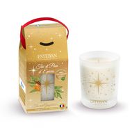 Bougie thé pain d'épices - Visuel 0