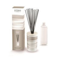 Bouquet parfumé décoratif + recharge 100ml Rêve blanc - Visuel 0