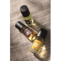 Concentré de parfum Teck & Tonka - Visuel 0