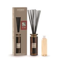 Bouquet Parfum Initial Teck & Tonka + Recharge de parfum 75 ml - Visuel 0
