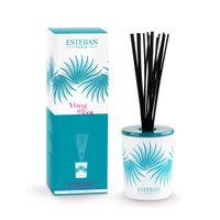 Bouquet parfumé décoratif + recharge 100ml ylang-ylang - Visuel 0