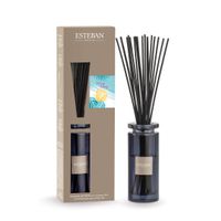 Bouquet parfumé + recharge 75 ml ylang-ylang - Visuel 0