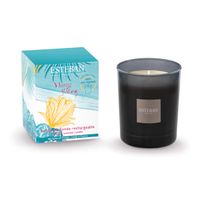 Bougie rechargeable 180g Ylang ylang - Visuel 0