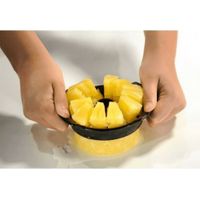 Coupe-ananas professionnel - Visuel 2