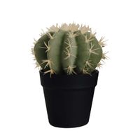 CACTUS EN POT - Visuel 0