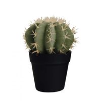CACTUS EN POT - Visuel 1