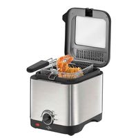 Mini-friteuse - Visuel 0