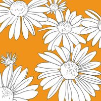 Serviettes en papier fleurs Peggy orange - Visuel 0
