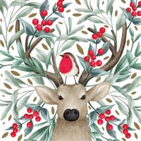 Serviettes en papier Bird & Buck - Visuel 0