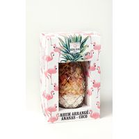 Mélange pour Rhum arrangé ananas-coco - Visuel 0