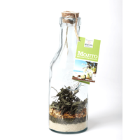 Carafe Mojito traditionnel - Visuel 0