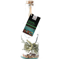 Carafe avec mélange rhum arrangé PARADISE ISLAND MIX - Visuel 0
