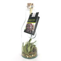 Carafe avec mélange rhum arrangé REGGAE - Visuel 0