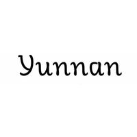 Théière électrique Yunnan 1,2 L - Visuel 2