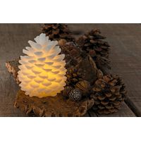 Lot de 2 lumières pomme de pin Clara - Visuel 1