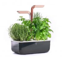 Potager D'intérieur Smart Connect - Visuel 0