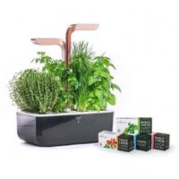 Potager D'intérieur Smart Connect - Visuel 2