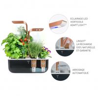 Potager D'intérieur Smart Connect - Visuel 1