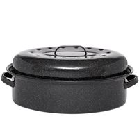 Cocotte Roaster 46 x 32 x 20 cm - Visuel 0