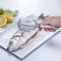 Ecailleur à poisson 20,5 cm - Visuel 1