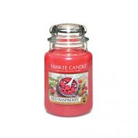 Jarre Framboise Rouge Grand Modèle - Visuel 0