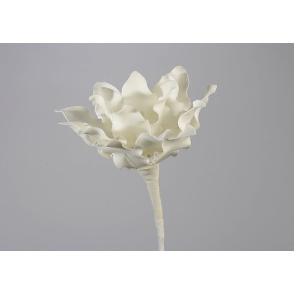 Fleur Cumbia blanche