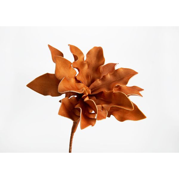 Fleur Cumbia orange foncé