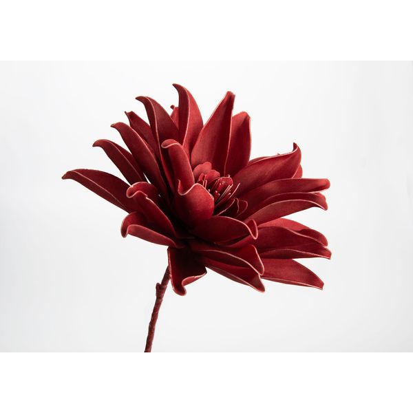 Fleur Pana rouge cerise