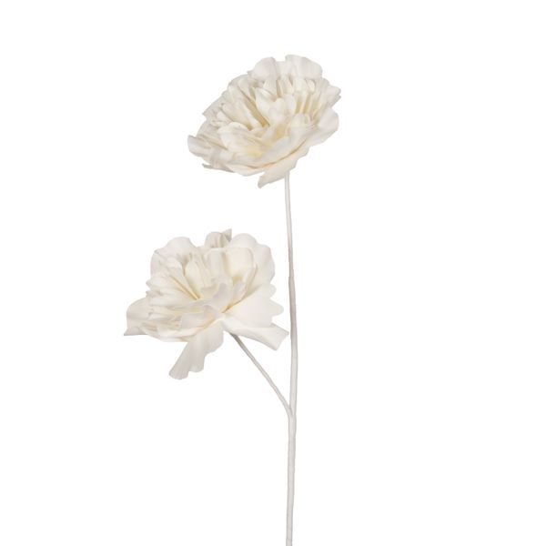 Fleur Eva Mila blanche