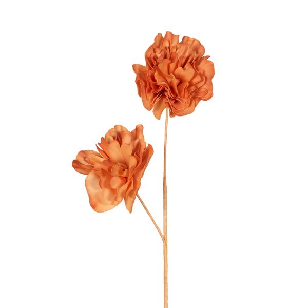 Fleur en Eva Mila pêche