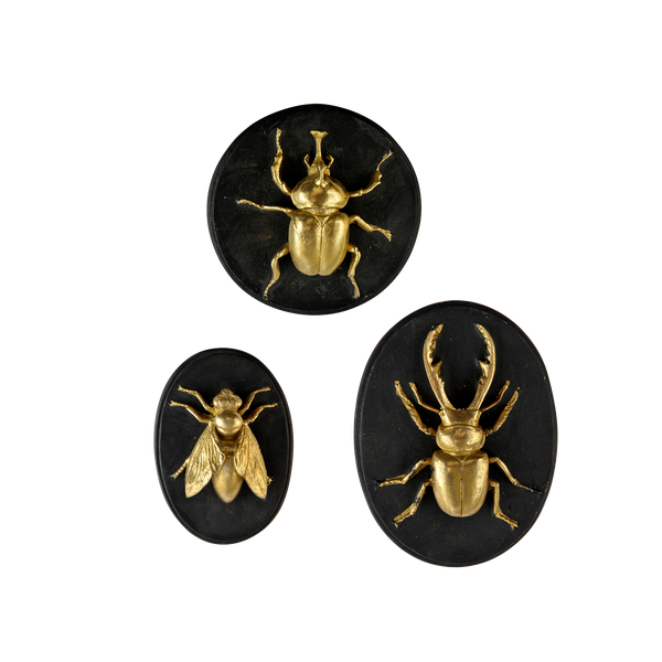 Lot de 3 decorations murales abeille scarabée lucane