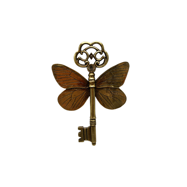 Décoration murale clé ailes