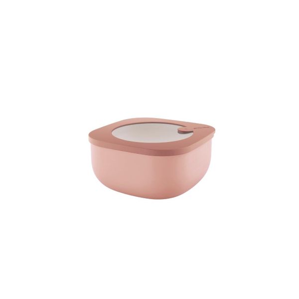 Boîte de conservation STORE&MORE BIO 975 ml Rose