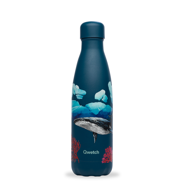 Bouteille isotherme banquise baleine 500 ml